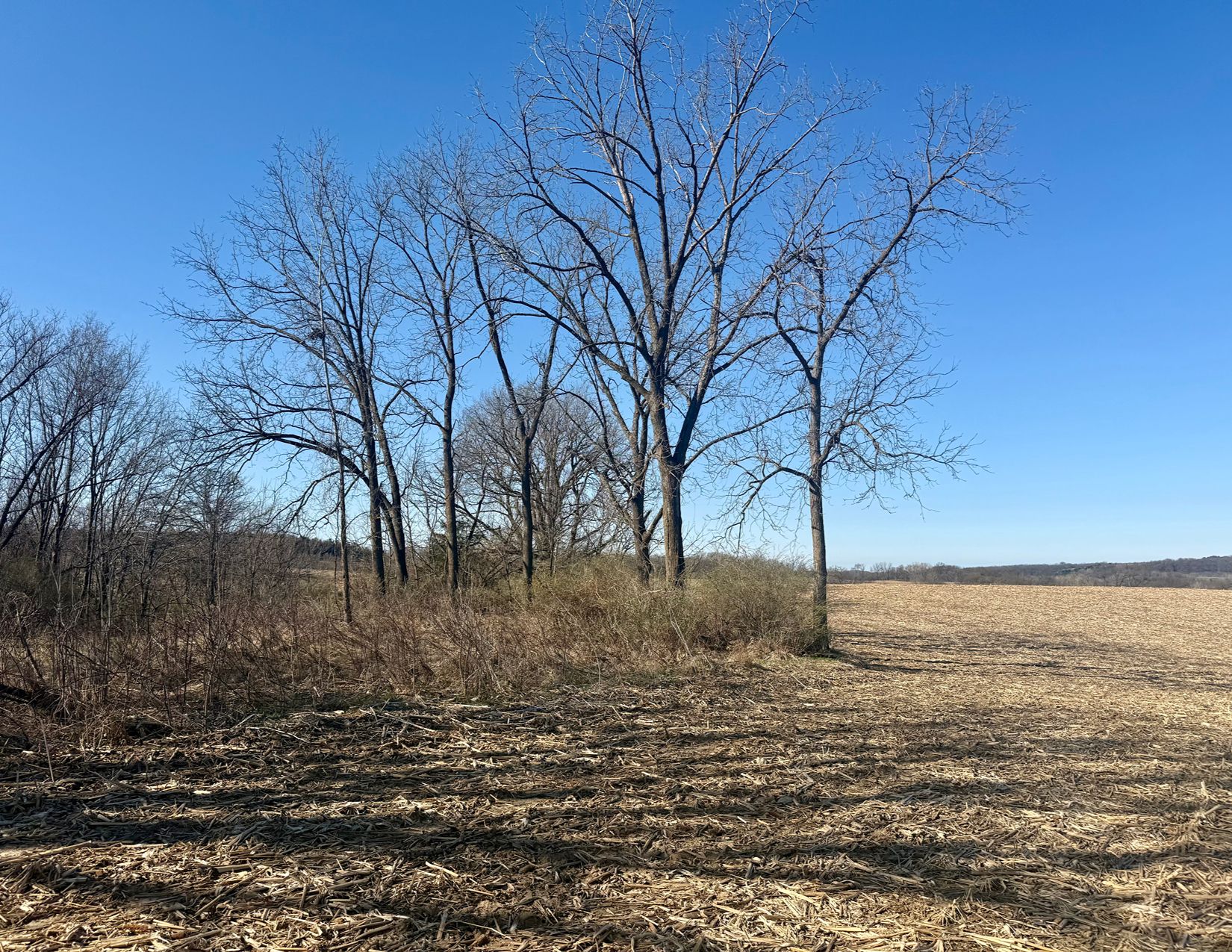 Listing Photo: Photo Apr 07 2026, 9 42 10 AM